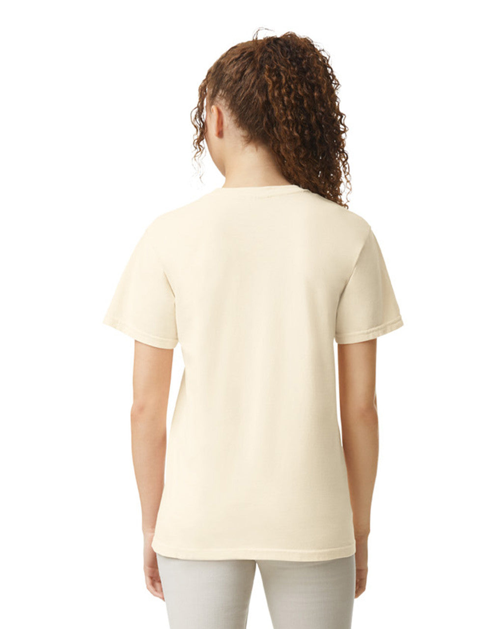 1717 Garment-Dyed Heavyweight T-Shirt