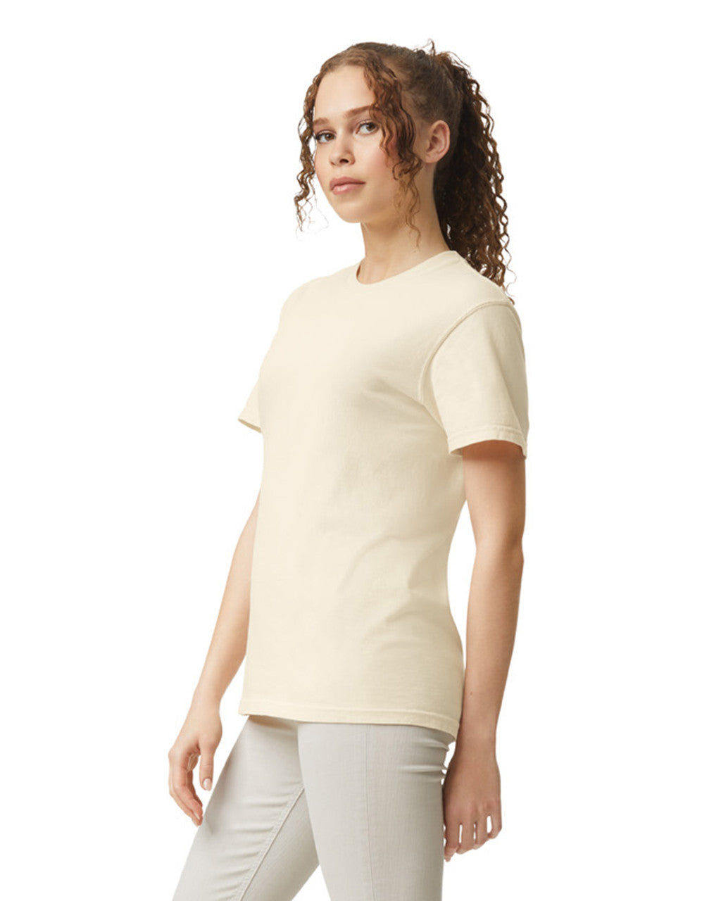 1717 Garment-Dyed Heavyweight T-Shirt